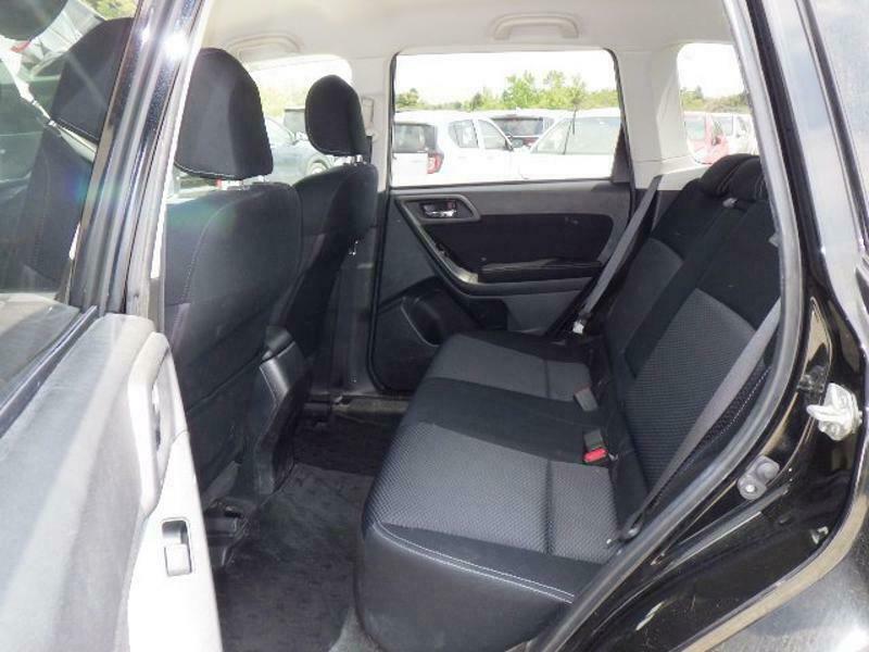 FORESTER