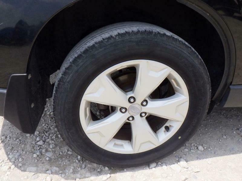 FORESTER