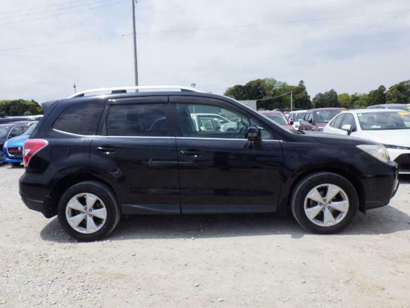 FORESTER