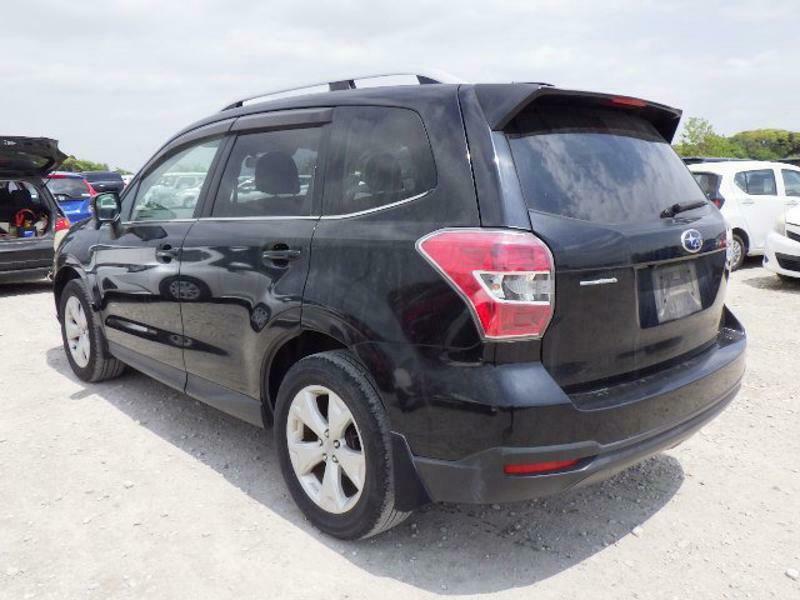 FORESTER