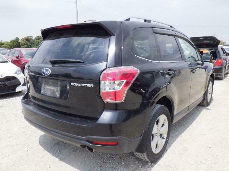 FORESTER