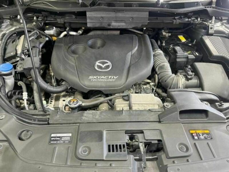 CX-5-17