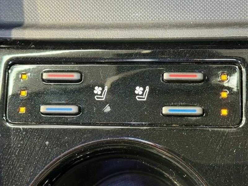 PRIUS-4