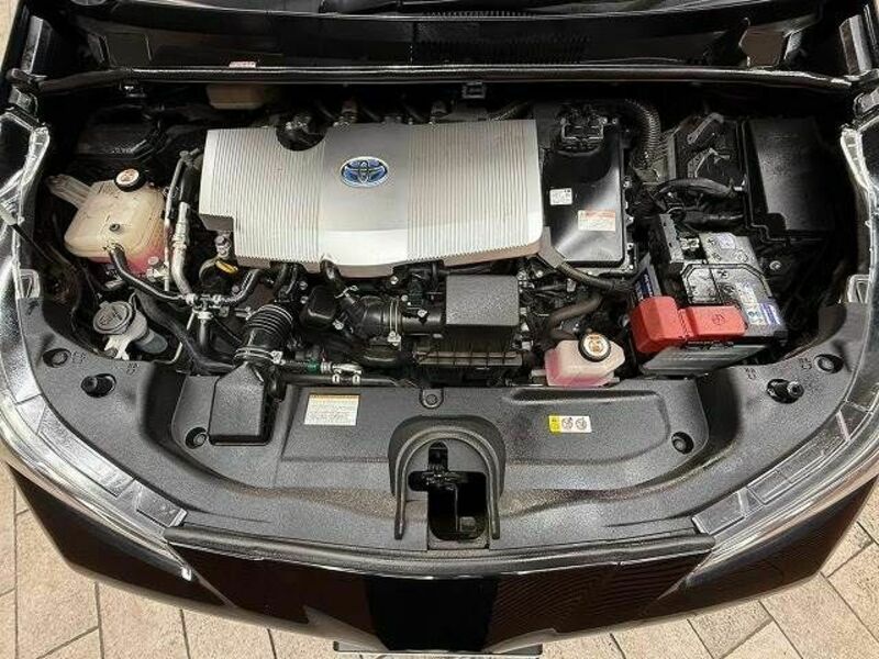PRIUS-13