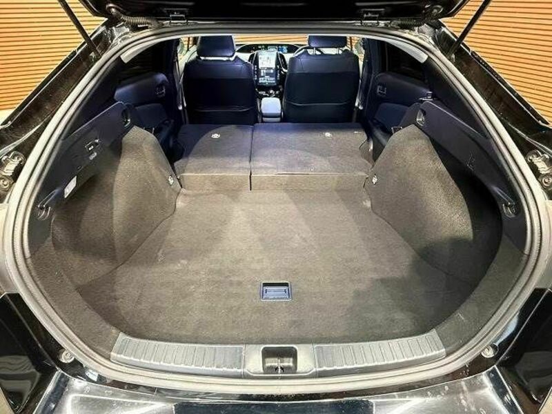 PRIUS-19