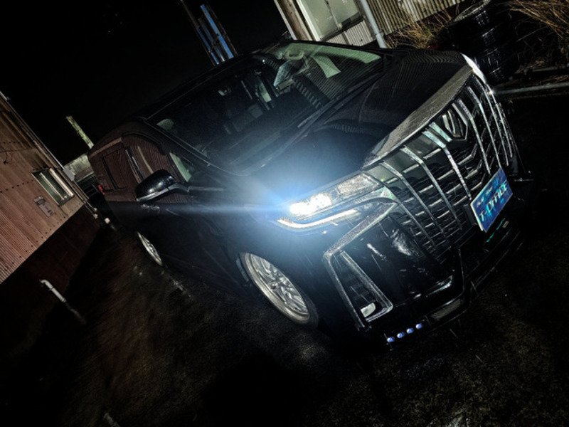 ALPHARD-19