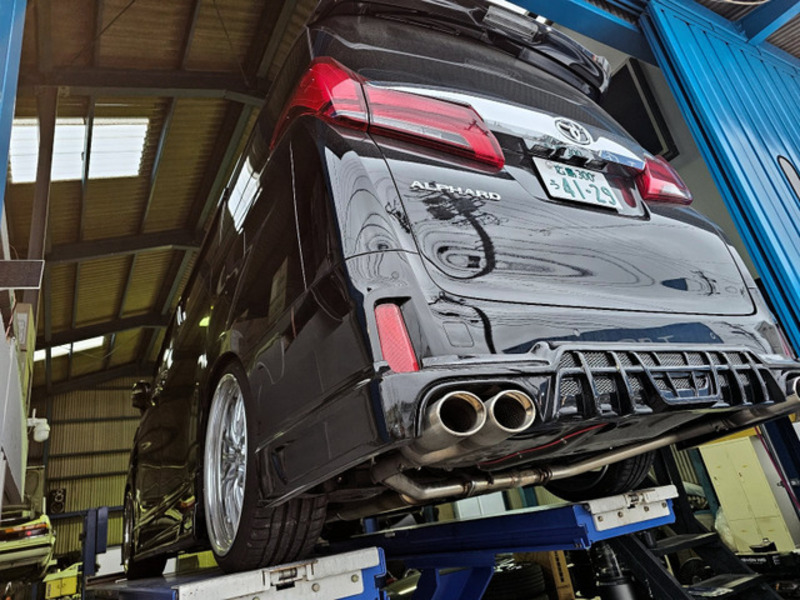 ALPHARD-13