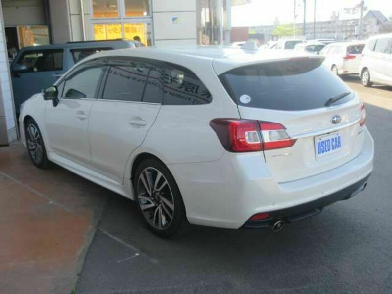 LEVORG
