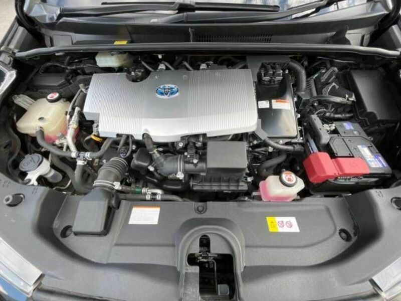 PRIUS-16