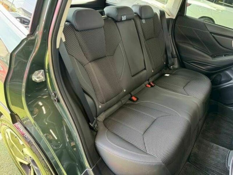 FORESTER-5