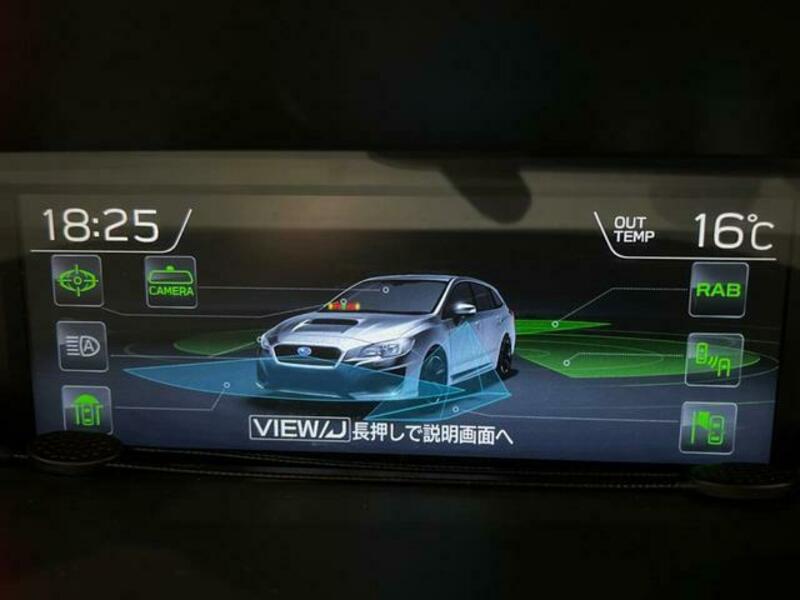 LEVORG
