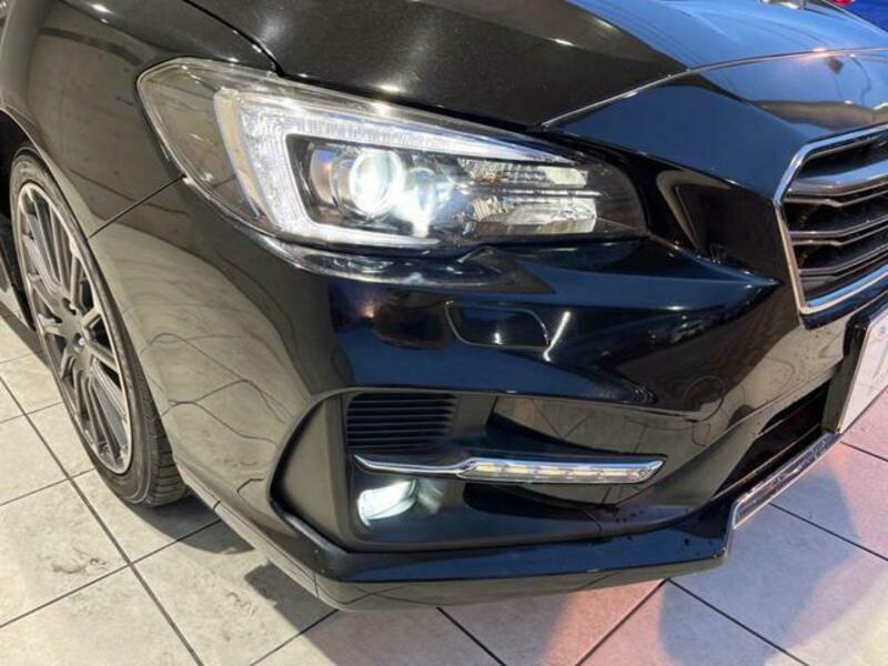 LEVORG