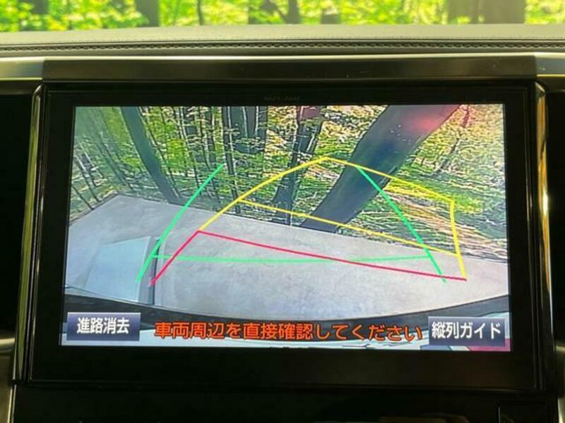 ALPHARD-6