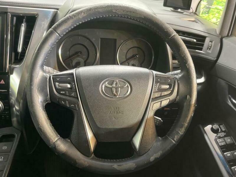 ALPHARD-10