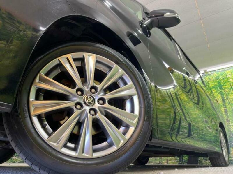 ALPHARD-12