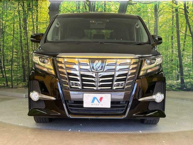 ALPHARD-13