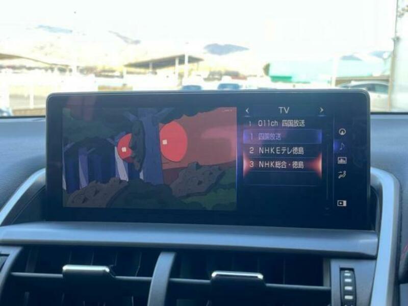 NX