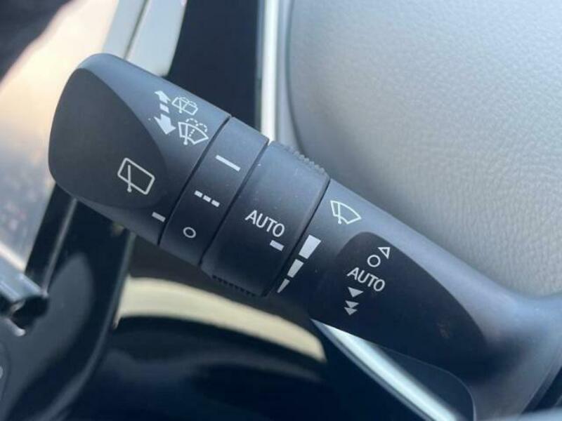 PRIUS-16