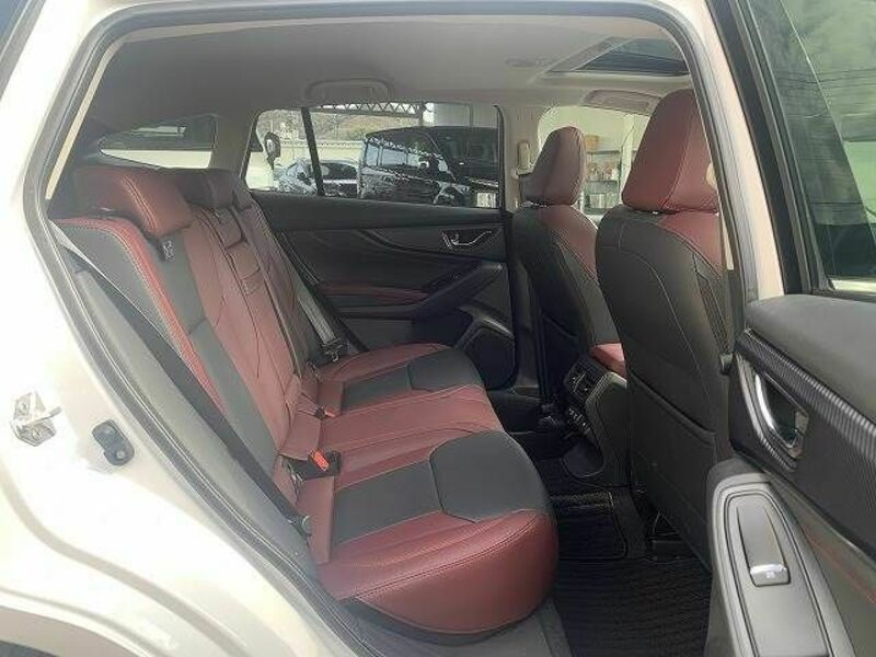 LEVORG-11