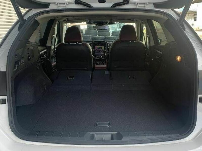 LEVORG-12