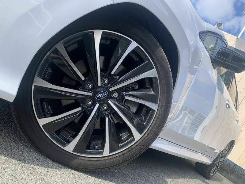 LEVORG-18