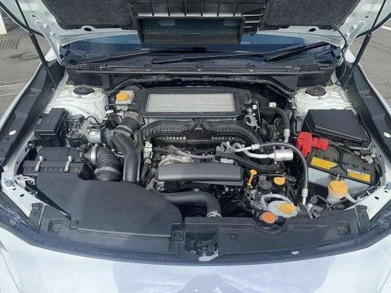 LEVORG-19