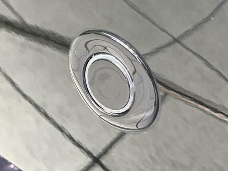 DAYZ ROOX