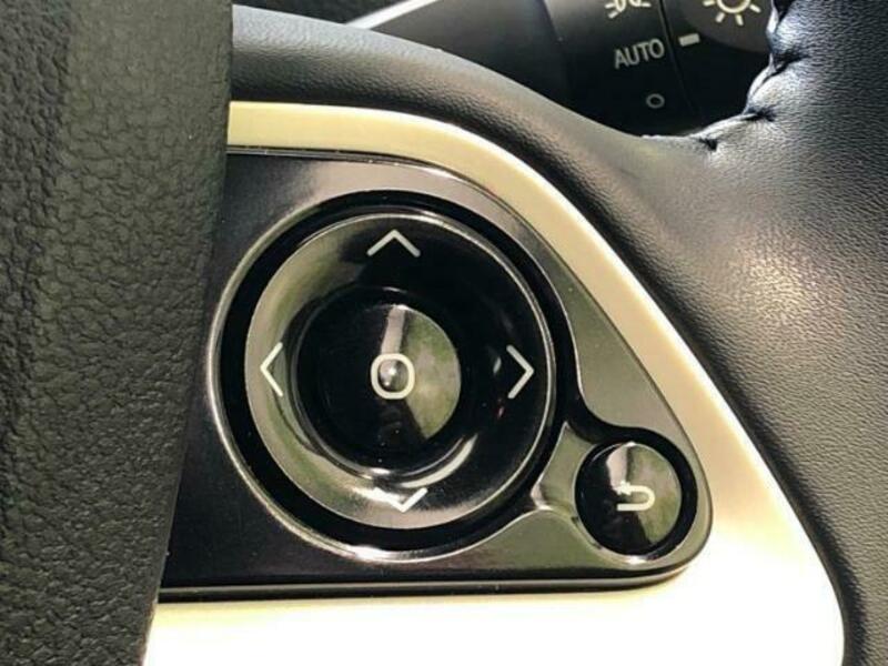 PRIUS-15