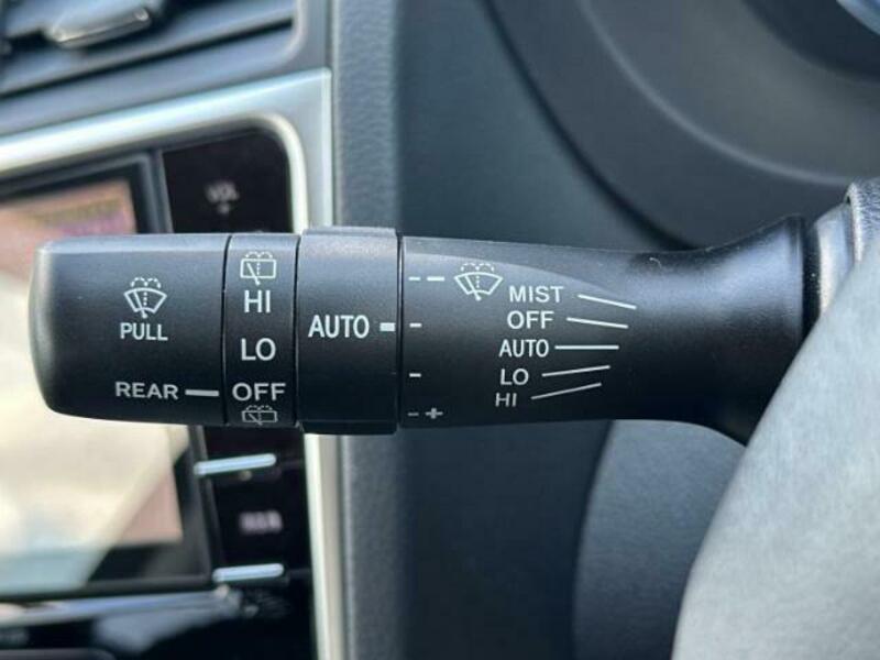 LEVORG-17