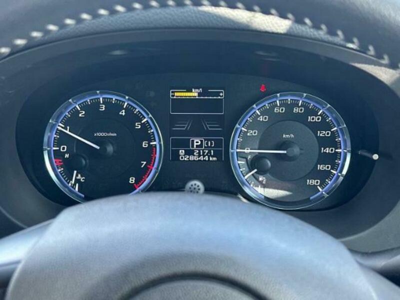LEVORG-14