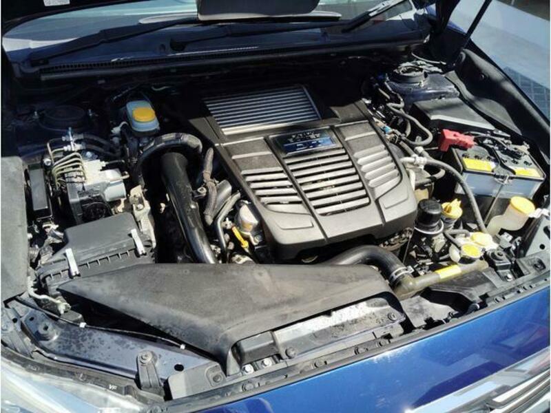 LEVORG-15