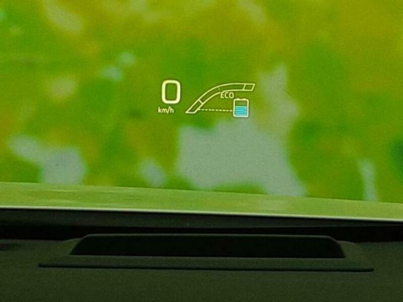 PRIUS-15