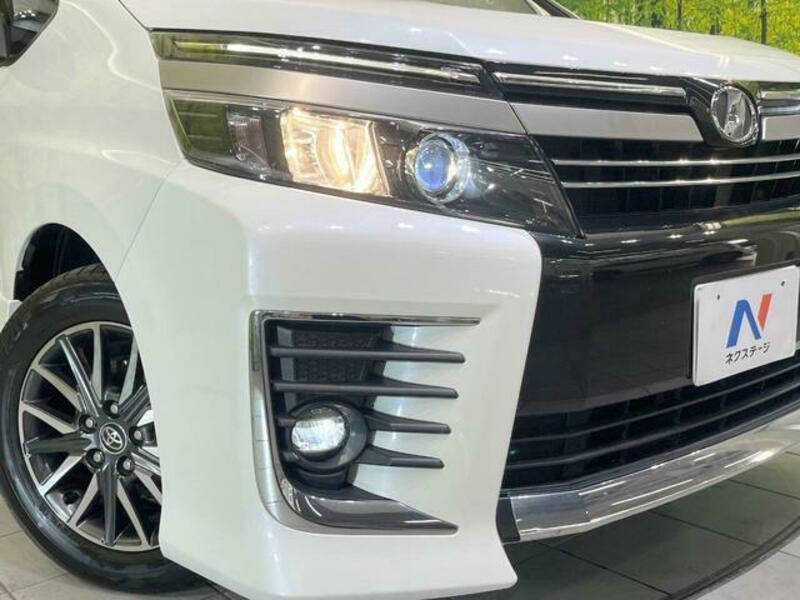 VOXY-12