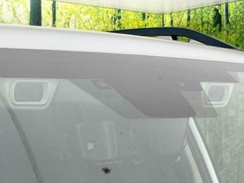 FORESTER-4