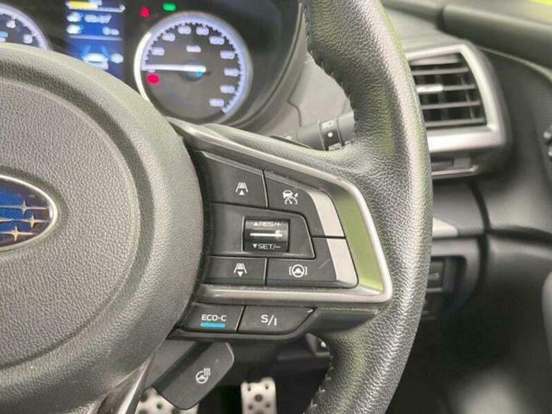 FORESTER-5