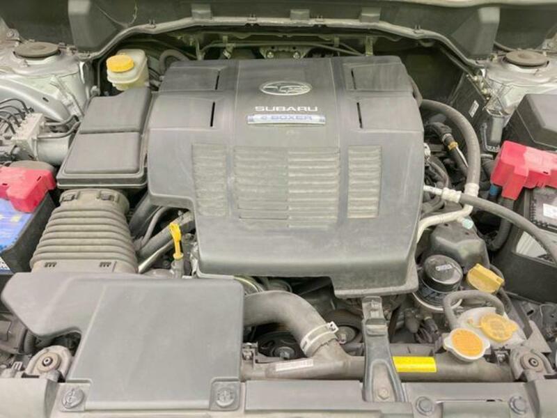FORESTER-17