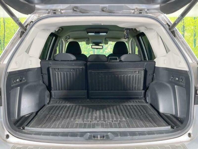 FORESTER-9