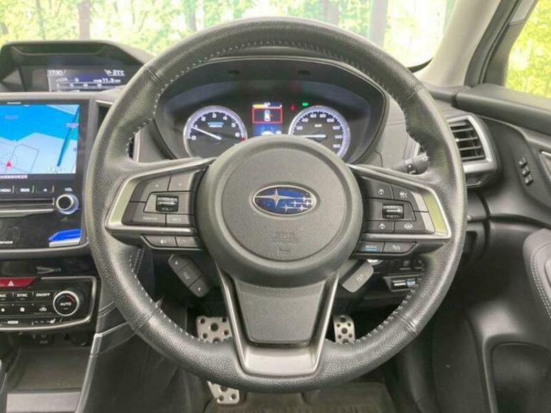 FORESTER-10