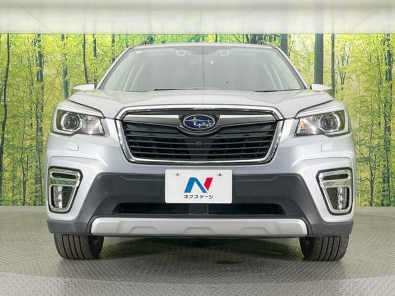 FORESTER-13