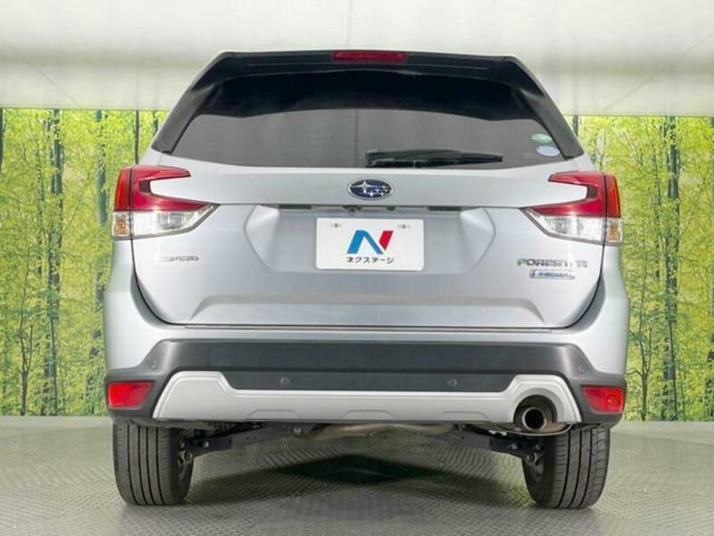 FORESTER-14
