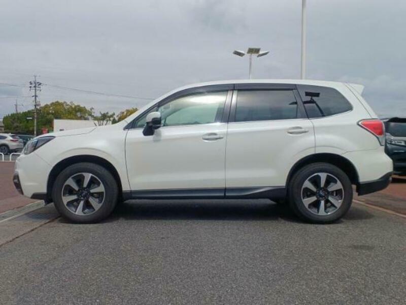 FORESTER