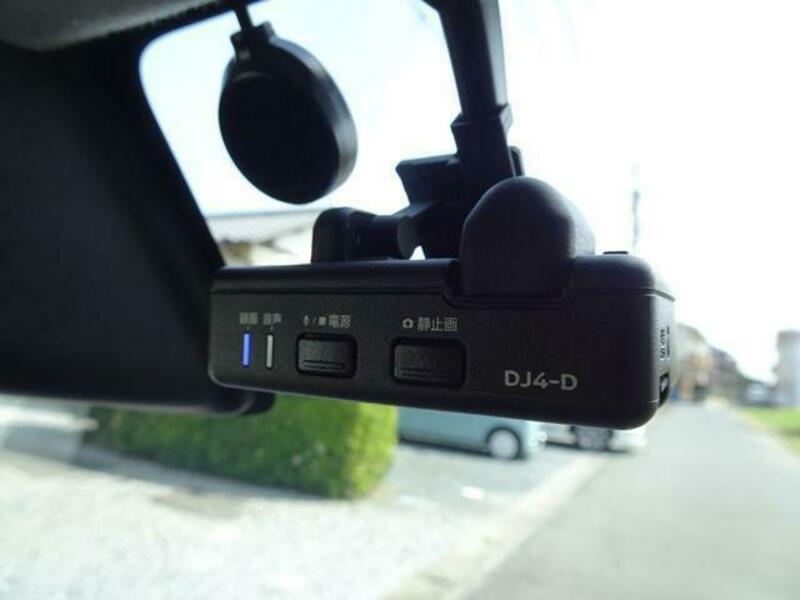 DAYZ ROOX