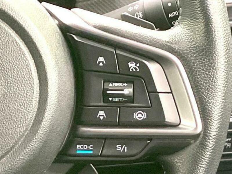 FORESTER-4