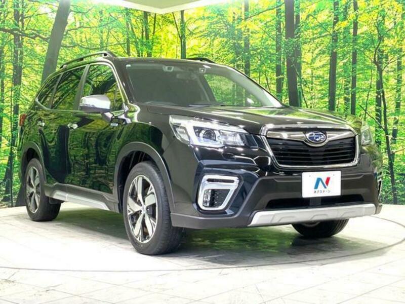FORESTER-15