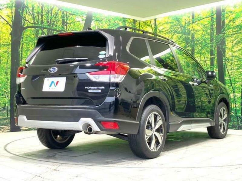 FORESTER-16