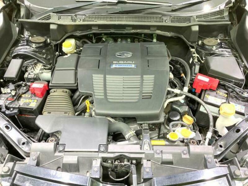 FORESTER-17