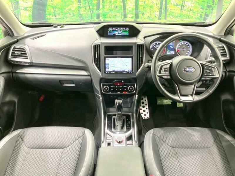 FORESTER-1