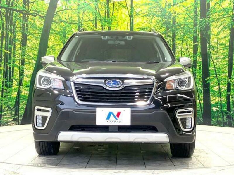 FORESTER-13