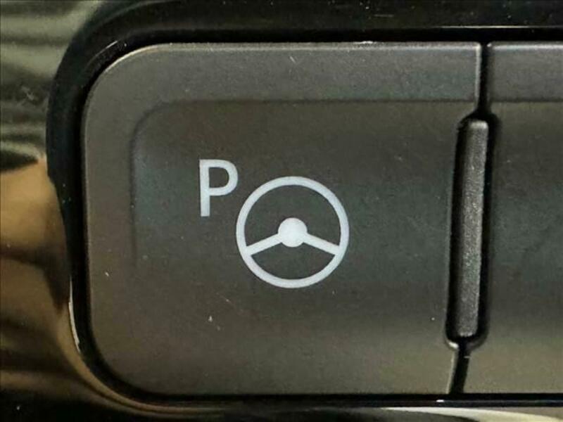PRIUS-7