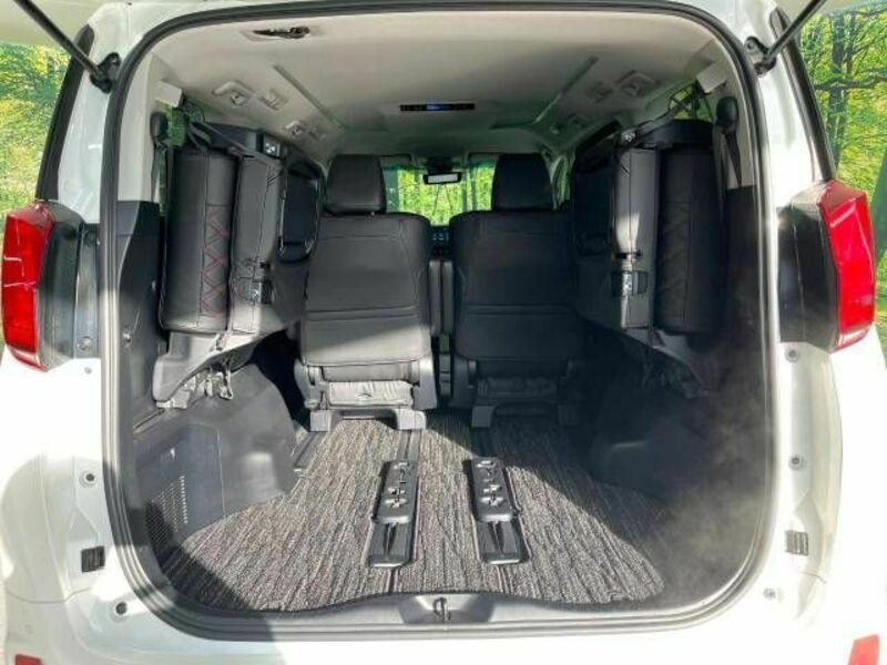 ALPHARD-11
